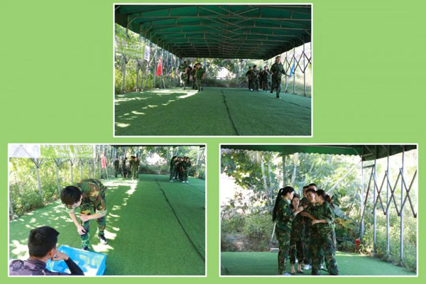 诸侯快讯新能源_厚积薄发_赢胜2021(图5)