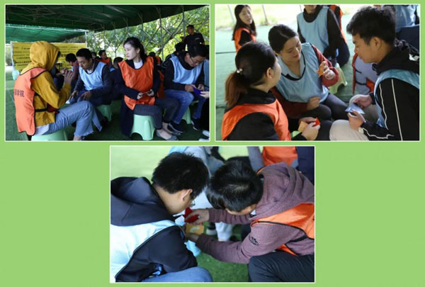 诸侯快讯新能源_厚积薄发_赢胜2021(图16)